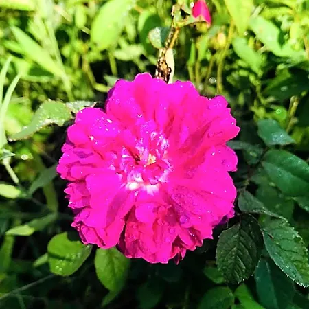 Domaine Mas Pigne ホテル