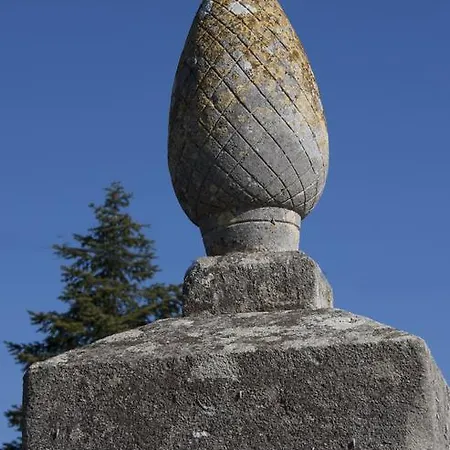 Отель Domaine Mas Pigne