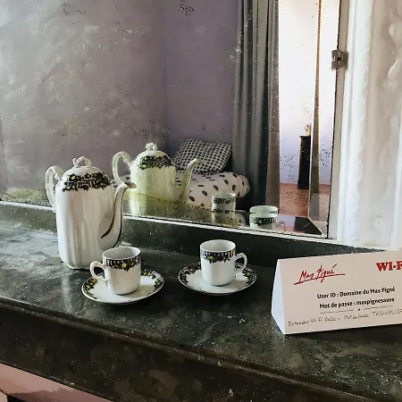 Отель Domaine Mas Pigne 2*