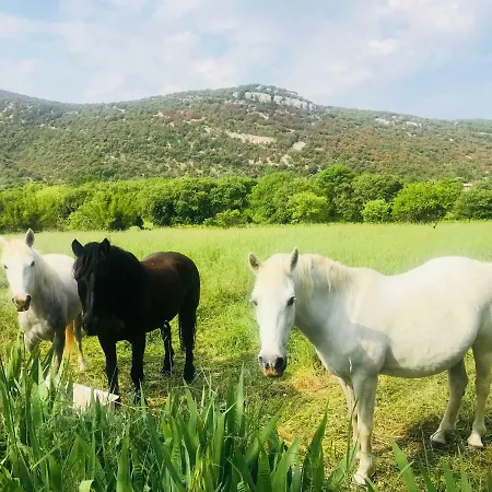 מלון Domaine Mas Pigne 2*