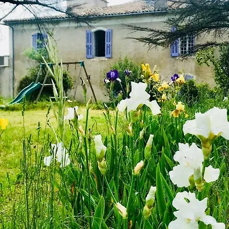 Domaine Mas Pigne Sauve