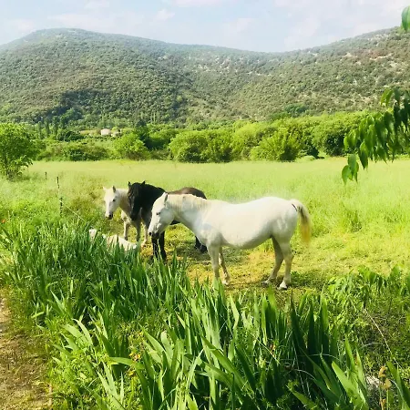 מלון Domaine Mas Pigne 2*